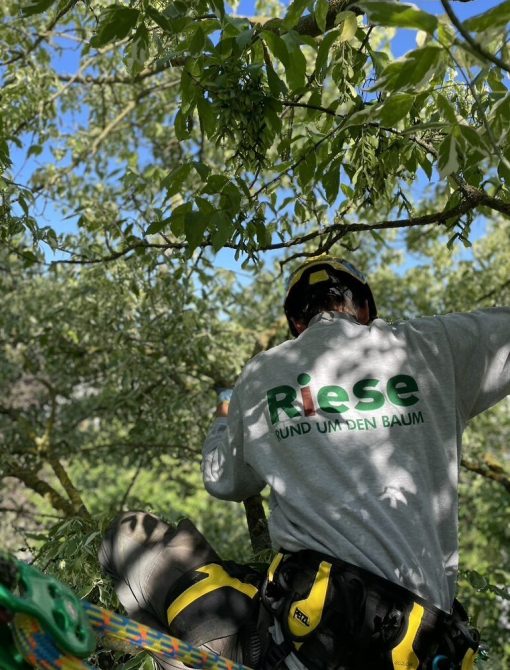 048F882C-50F4-4EE6-BFD5-19025218FB2A_1_105_c