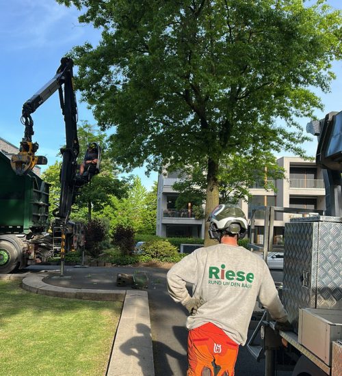 B6FACD3B-2FFB-481A-843F-EDCCE62EC94C_1_105_c